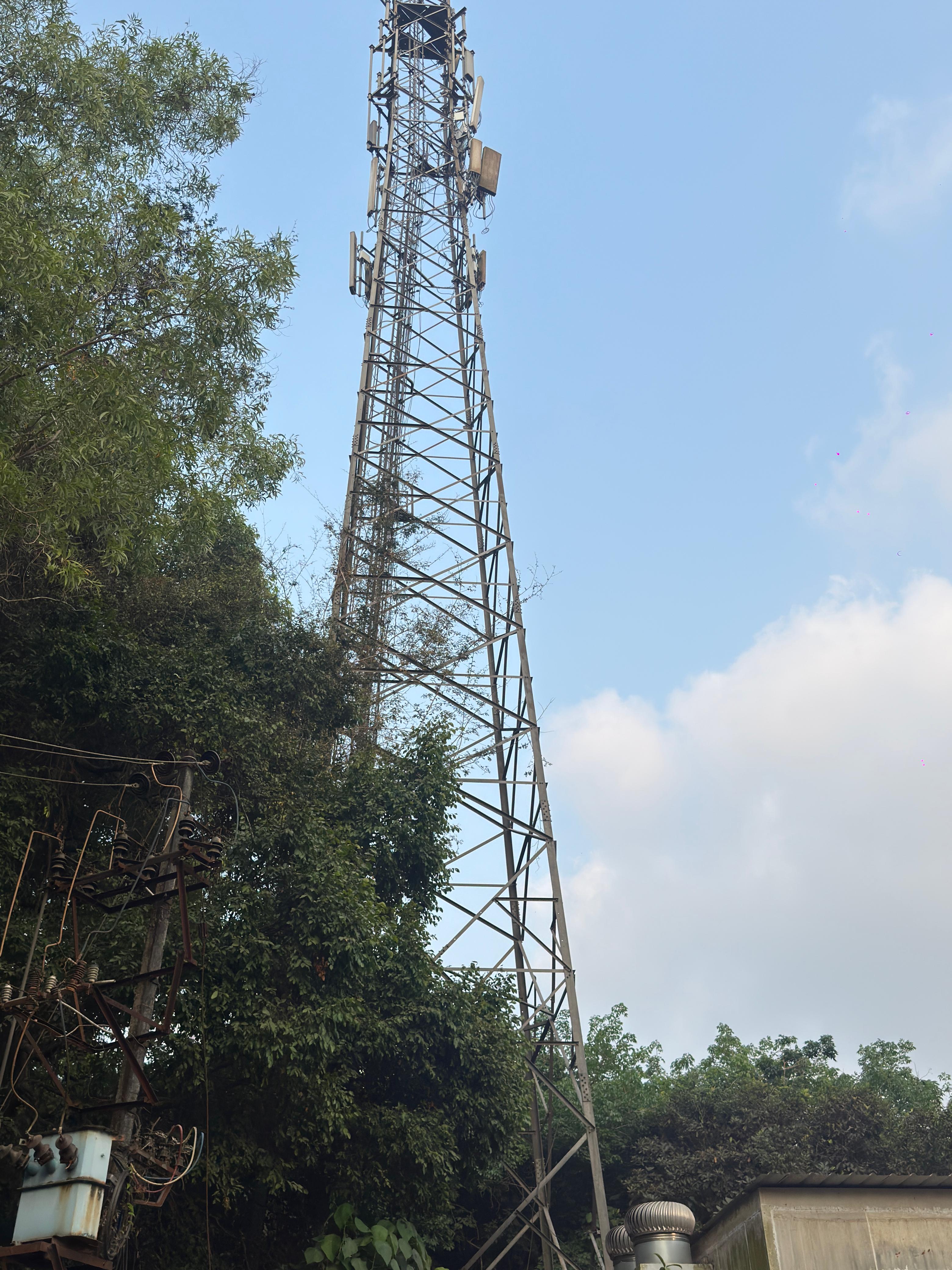 ಉಡುಪಿ ಜಿಲ್ಲೆಯ ಕುಂದಾಪುರ ತಾಲೂಕಿನ ಮೊಳಹಳ್ಳಿಯ  ಪಂಚಾಯತ್‌ನ ಹತ್ತಿರದಲ್ಲಿ ಮೊಬೈಲ್ ಟವರ್ ಇದ್ದರೂ, ಅಲ್ಲಿನ ನಿವಾಸಿಗಳು ಮಾತ್ರ ತೀವ್ರ ನೆಟ್‌ವರ್ಕ್ ಸಮಸ್ಯೆಗಳನ್ನು ಎದುರಿಸುತ್ತಿದ್ದಾರೆ.!  ಇಲ್ಲಿಯ ಗ್ರಾಮಸ್ಥರು ಚುನಾಯಿತ ಜನಪ್ರತಿನಿಧಿಗಳಿಗೆ ದೂರು ನೀಡಿದರು ಜನಪ್ರತಿನಿಧಿಗಳು ಮಾತ್ರ ಮೌನಗೀತೆ ಸಂಗೀತದ 